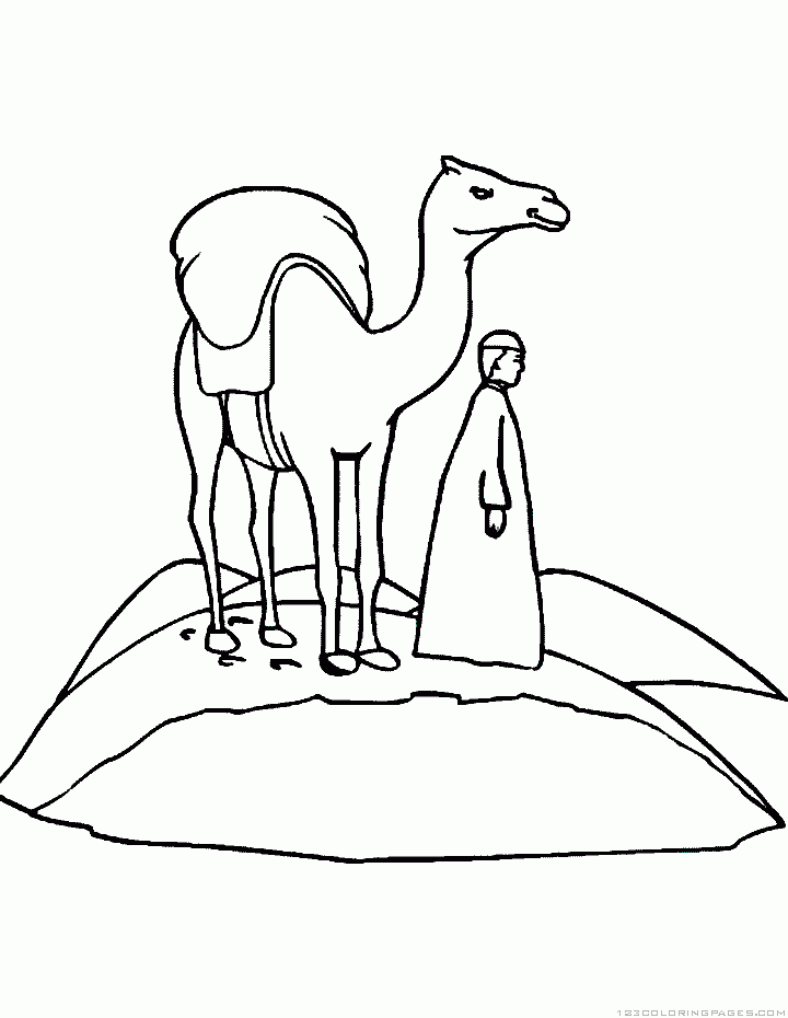 camel coloring pages