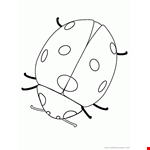 Ladybug Coloring Pages | Best Coloring Pages - Free Coloring Pages