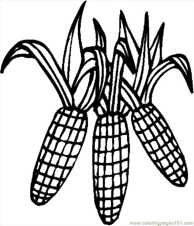 coloring pages corn 4 (holidays &gt; thanksgiving day) - free 