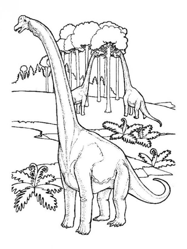 printable argentinosaurus coloring pages | dinosaurs pictures and 