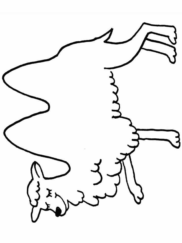 coloring page - camel coloring pages 9