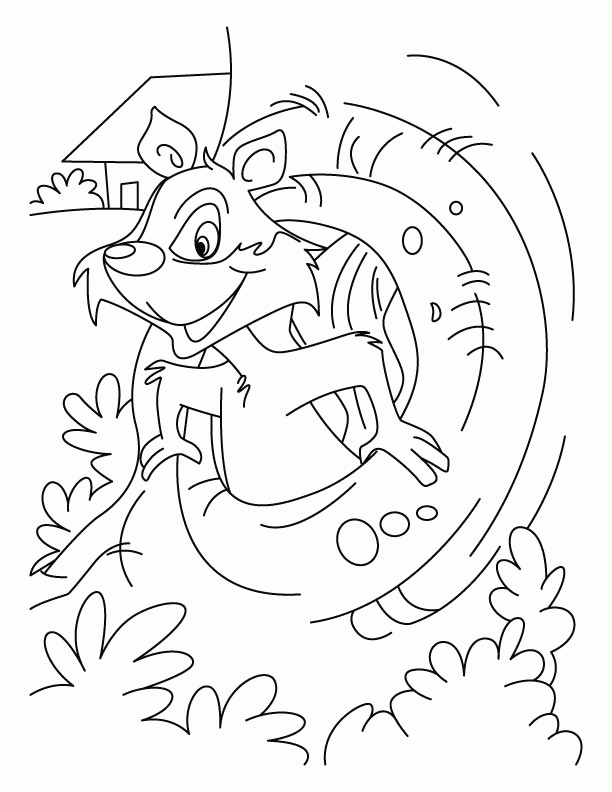 a squirrel in the drey coloring pages | download free a squirrel 