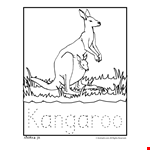 Kangaroo Coloring Page | Australian Animals 