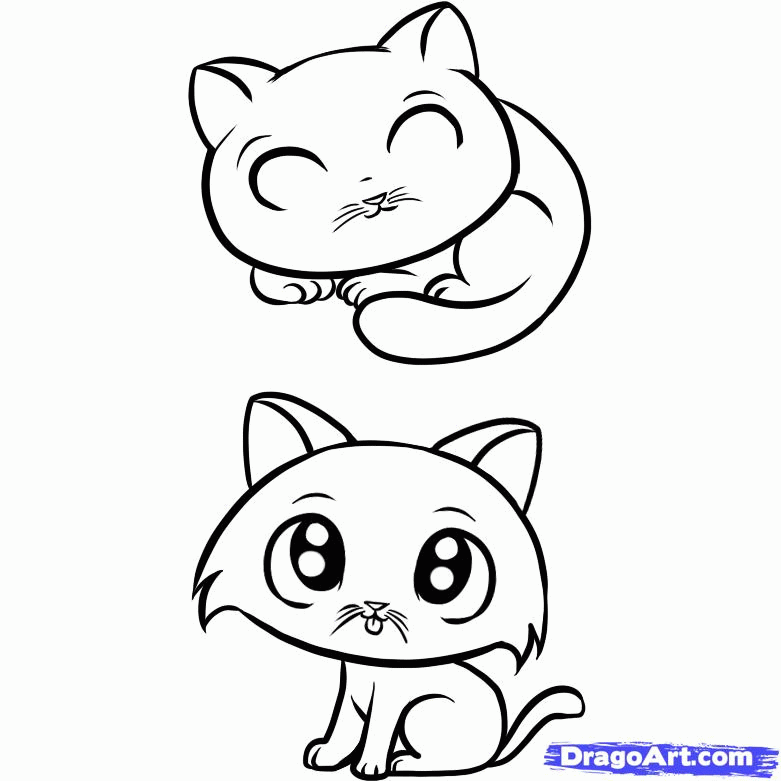 how to draw a kitty, step by step, pets, animals, free online 