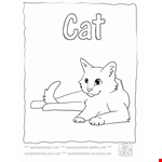 Cool Cat Clipart