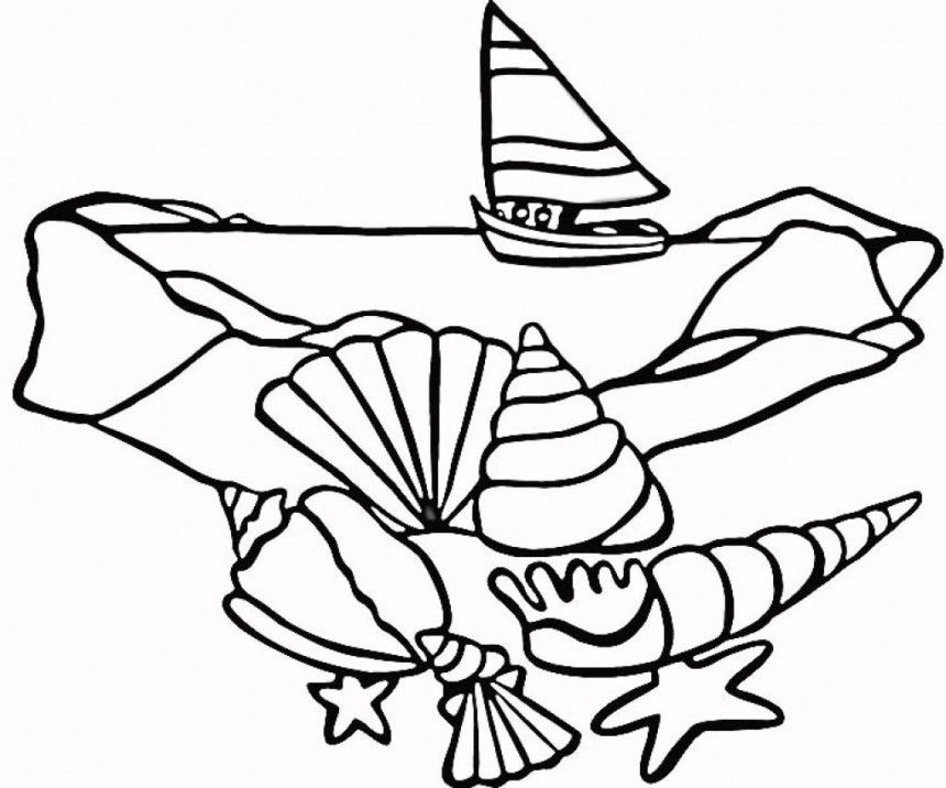 coloring pages sea shells : printable coloring sheet ~ anbu 