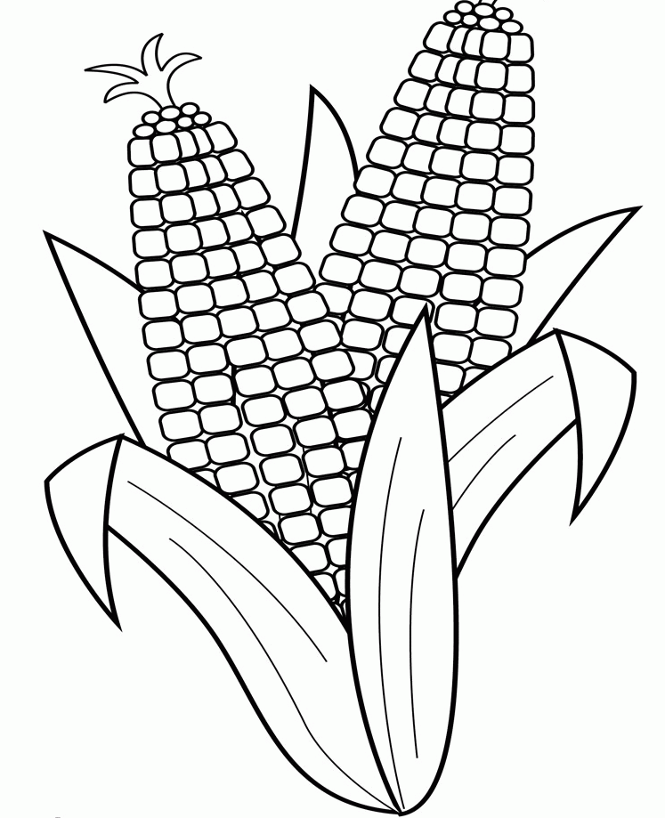 beautiful corn coloring pages for kids wallpaper | violasgallery.com