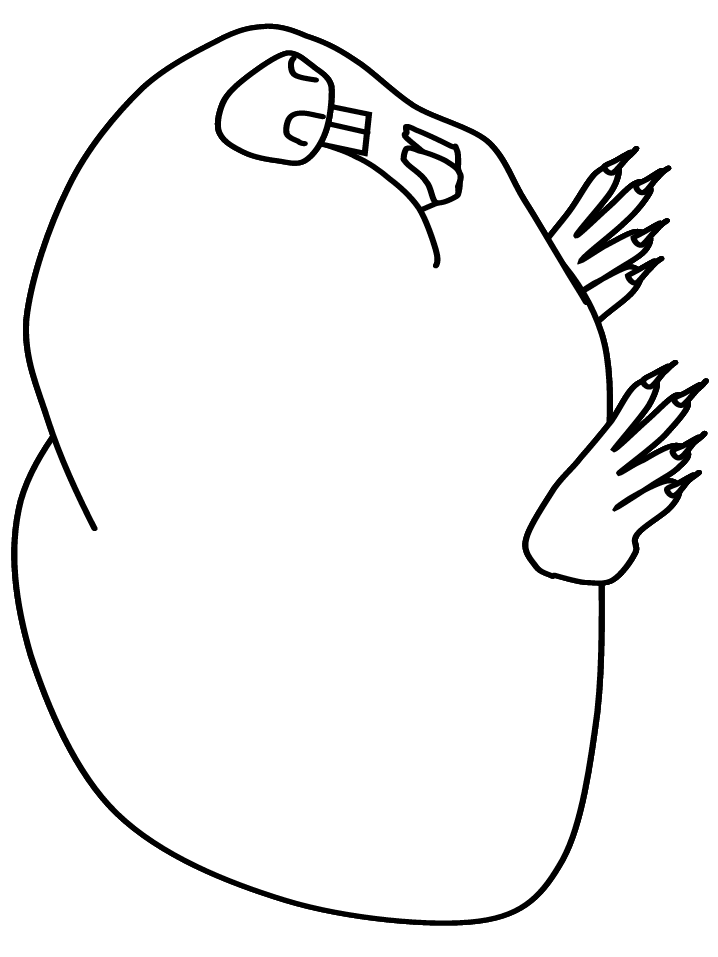 mole rat colouring pages (page 2)