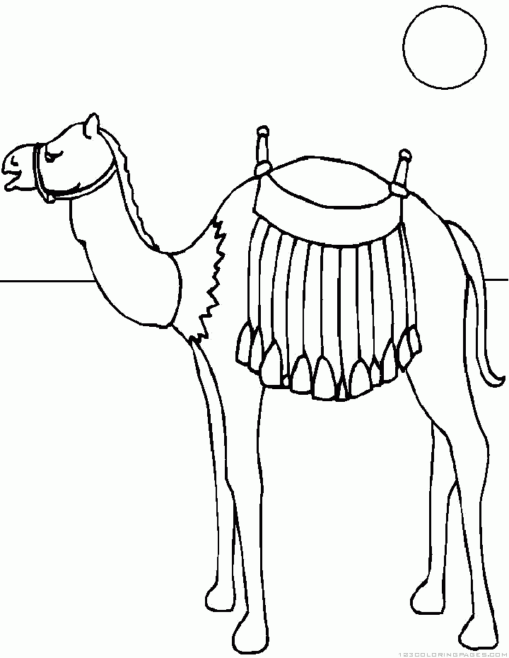 camel coloring pages