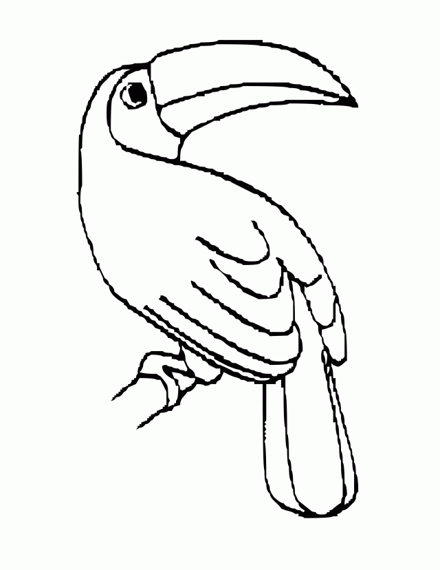 bird cartoon coloring sheet