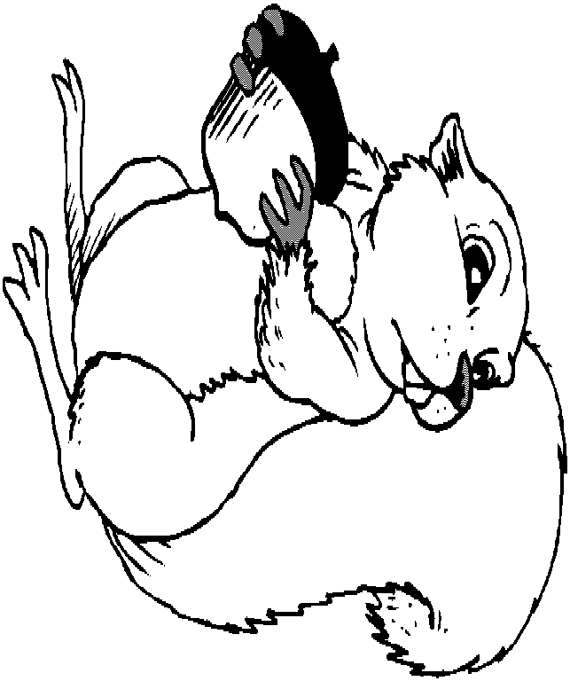 squirrel acorn coloring cake ideas and designs