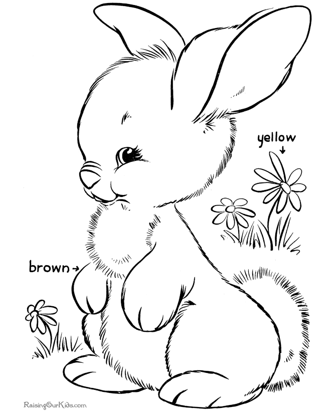 cute bunny coloring page