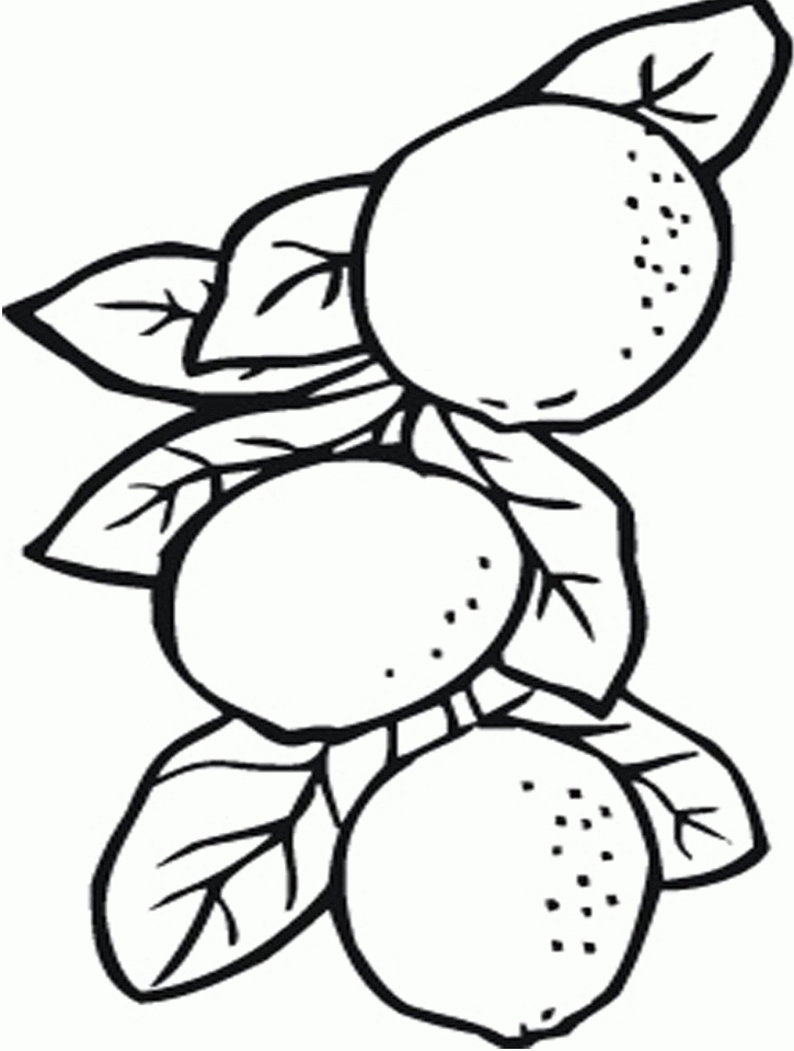 funny orange tree coloring pages high res | violasgallery.com