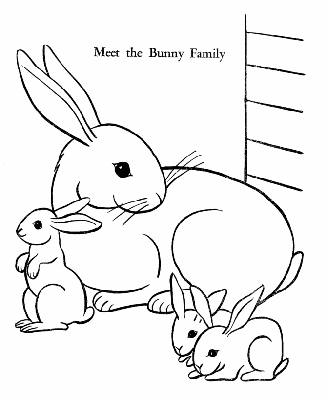 bunny cartoon clipart sheet
