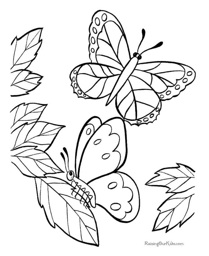 butterfly coloring book pages 010