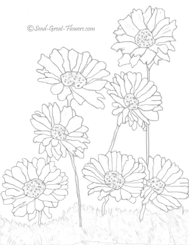 free summer coloring pages to download and print