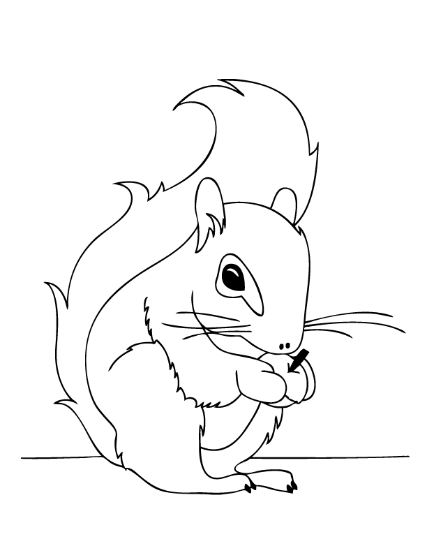 squirrel coloring pages