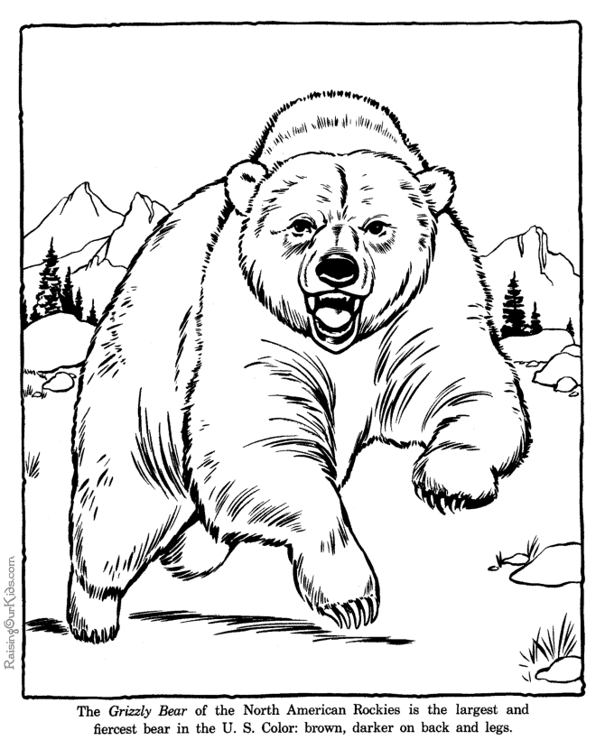 grizzly bear coloring pages - zoo animals
