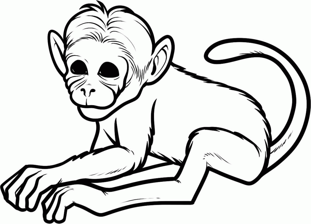 free monkey coloring pages for kids | laptopezine.