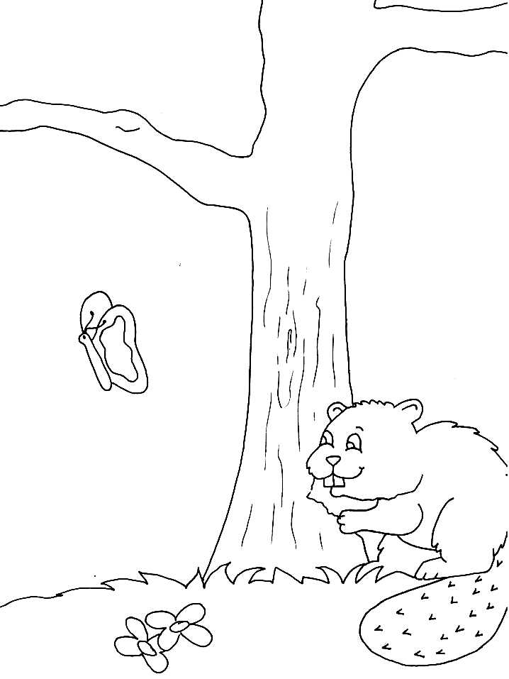 beavers colouring pages- pc based colouring software, thousands of 