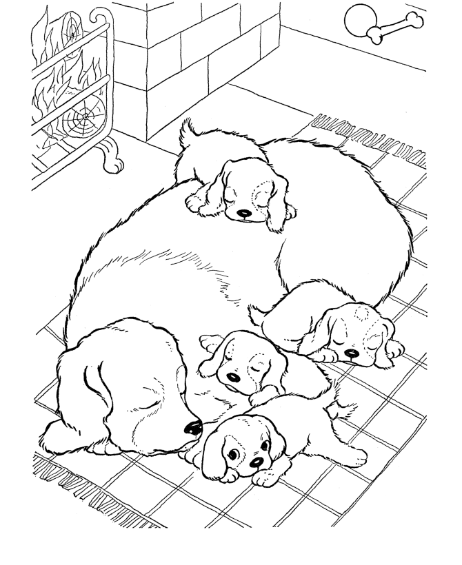 coloring-pages-of-cats-and-dogs | coloring ws