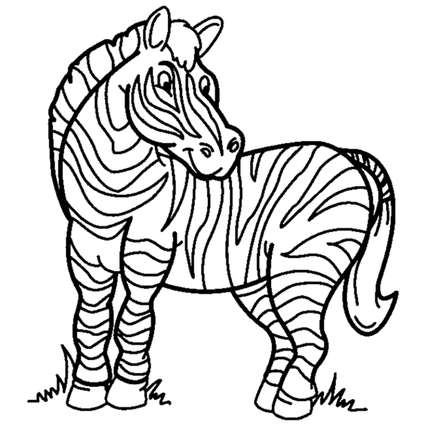zebra coloring pages | coloring pages for girls | kids coloring 