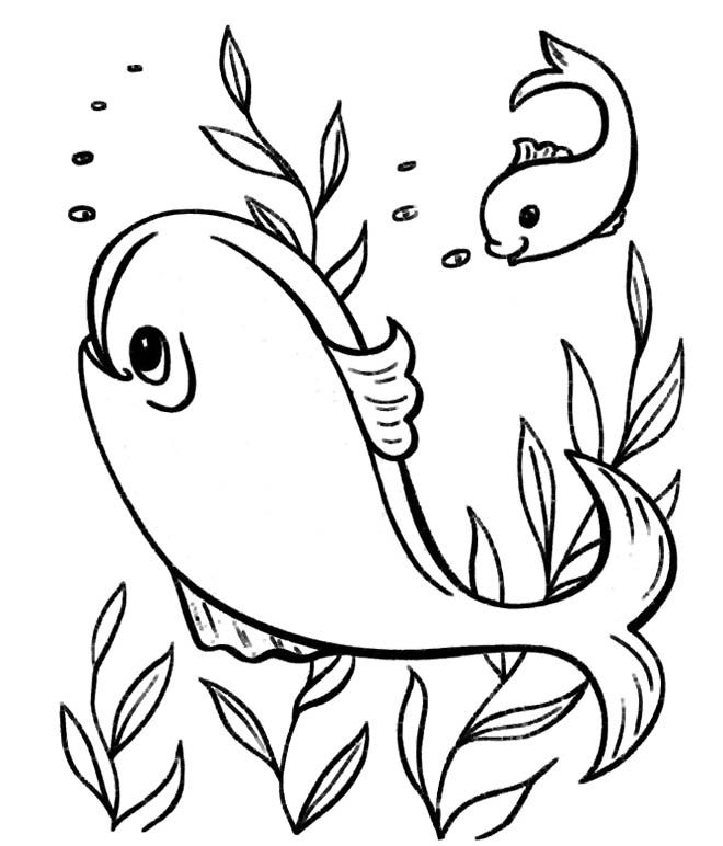 fish-dolphin-coloring-pages.jpg