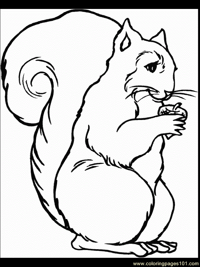 coloring pages squirrel coloring 5 (mammals &gt; squirrel) - free 
