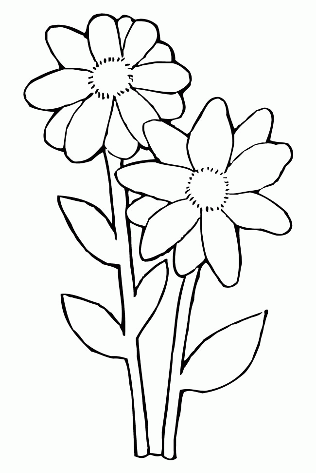 daisy coloring picture for kid
