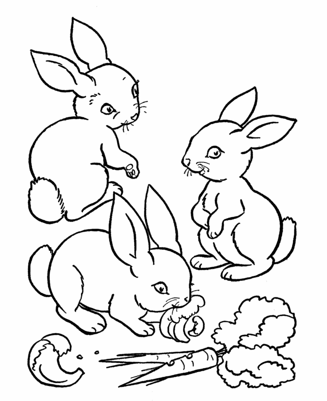 easter bunnies colouring book