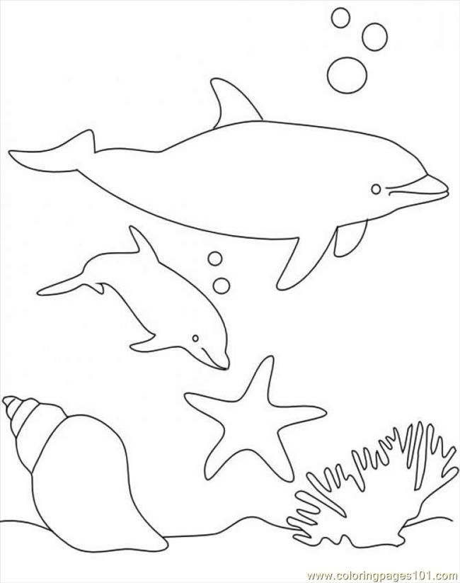 coloring pages shark5 (fish &gt; shark) - free printable coloring 