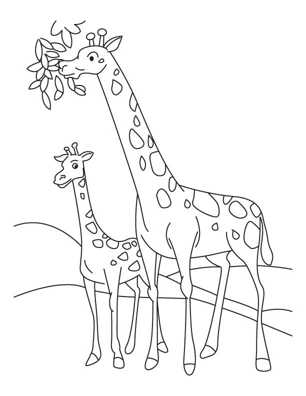 giraffe&#39;s head coloring page | kids coloring page
