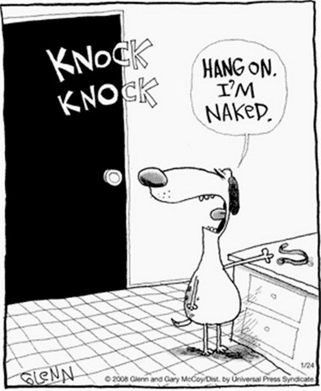 chuck&#39;s fun page 2: seven single-panel, animal cartoons