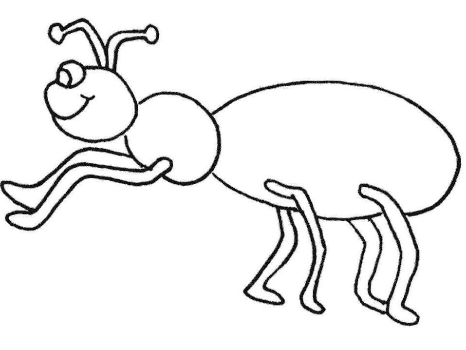 insects | colouring page