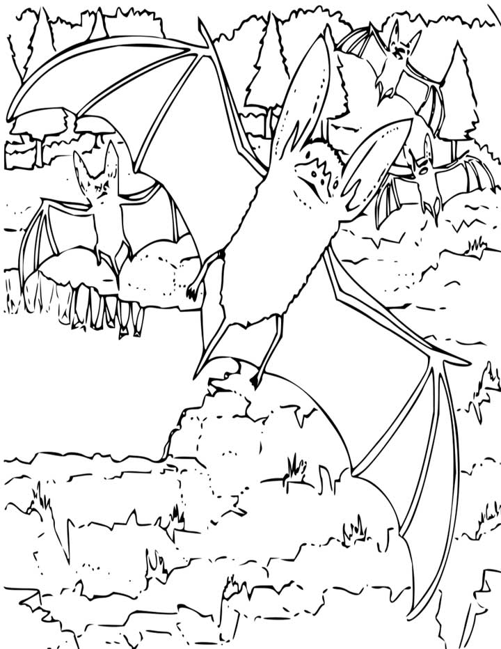 big eared bat coloring page for kids - free printable picture