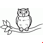 Owl Cartoon Drawing Sheet