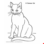 Siamese Cat Coloring Page