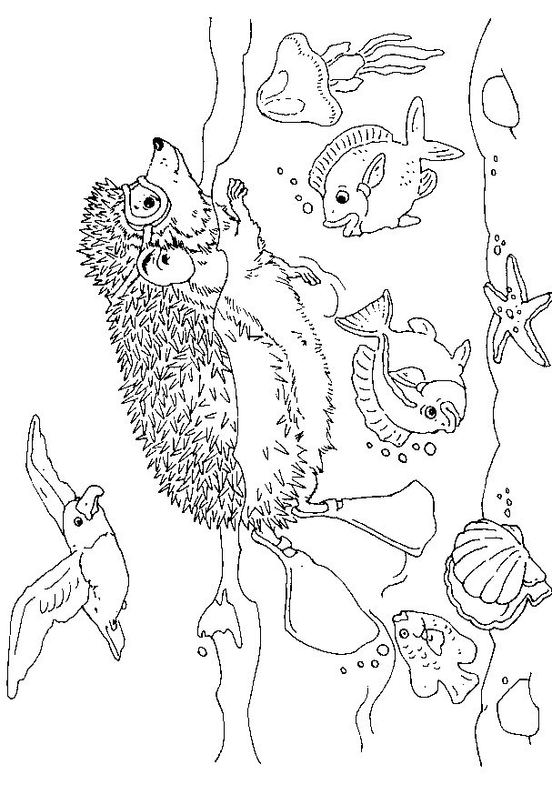 hedgie in the ocean coloring page
