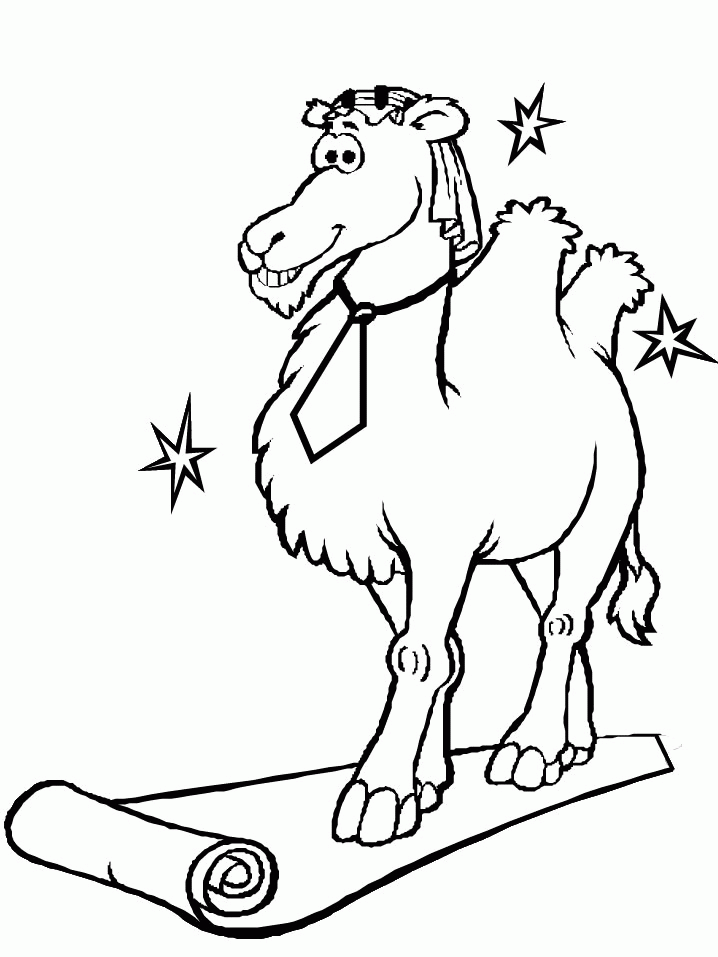 coloring page - camel coloring pages 11