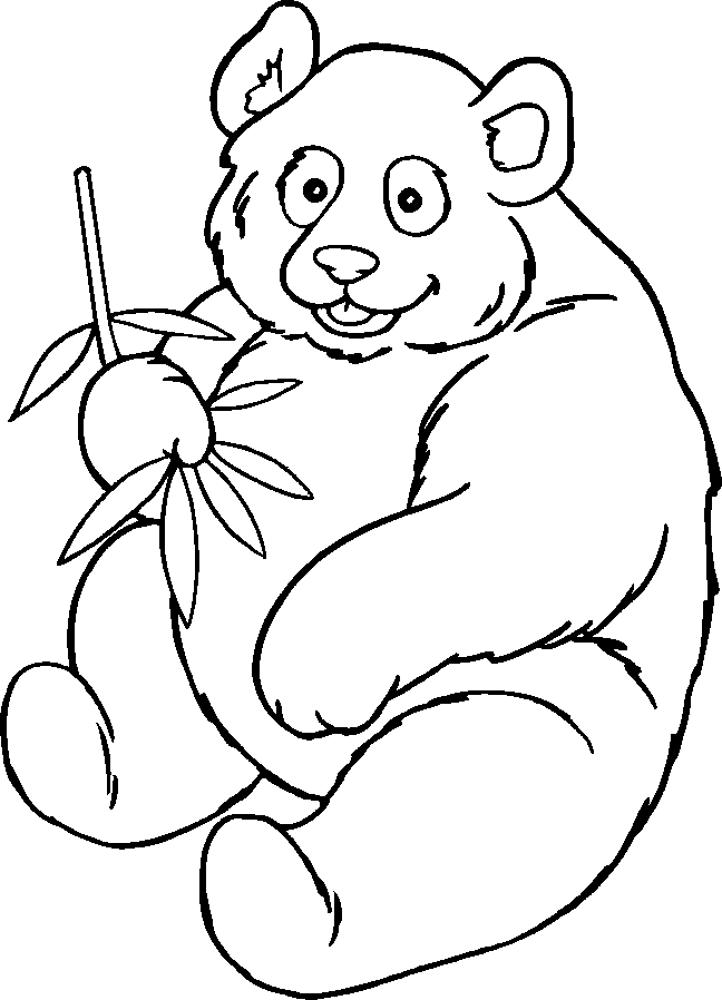 bear coloring book