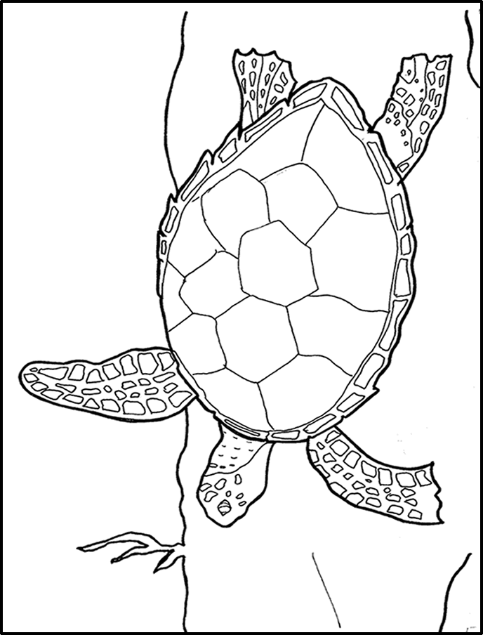 kidscorner - fun &amp; games: coloring book &gt; turtle