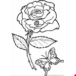 Rose Flower Clourings