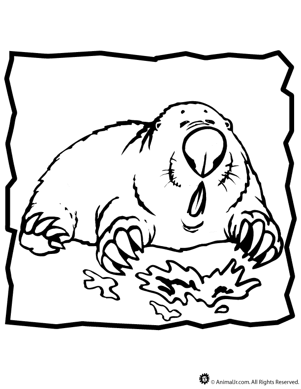 19 mole coloring pages