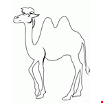 Camel Colorings