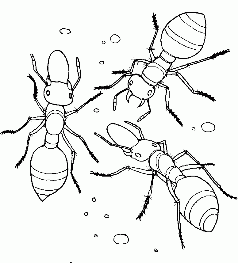 parts of an ant colouring pages (page 2)