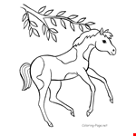 Cute Horse Drawing Sheet