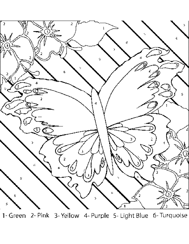 butterfly color by number coloring page