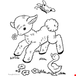 Easter Lamb Coloring Book