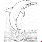 Coloring Pages Dolphin Jump Coloring Page (Mammals &gt; Dolphin  