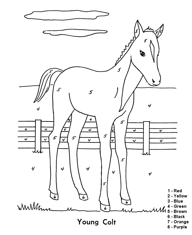 search results â» coloring pages number